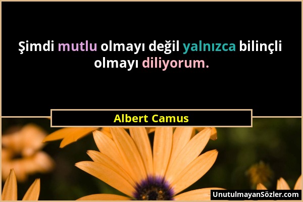 Albert Camus - Şimdi mutlu olmayı değil yalnızca bilinçli olmayı diliyorum....