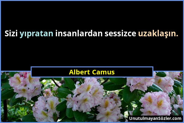 Albert Camus - Sizi yıpratan insanlardan sessizce uzaklaşın....
