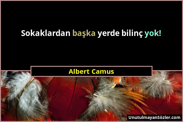 Albert Camus - Sokaklardan başka yerde bilinç yok!...