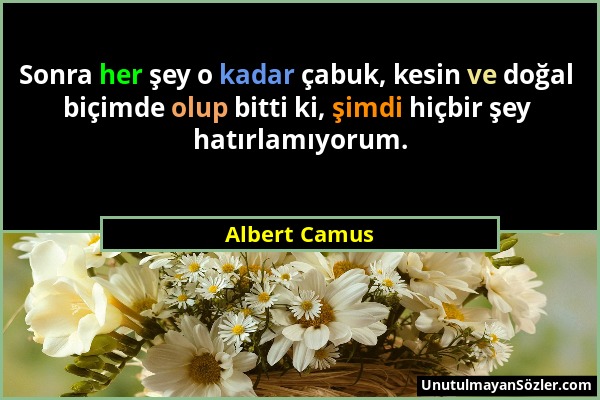 Albert Camus - Sonra her şey o kadar çabuk, kesin ve doğal biçimde olup bitti ki, şimdi hiçbir şey hatırlamıyorum....