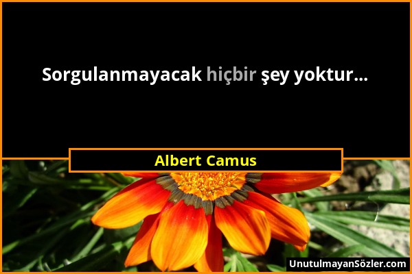 Albert Camus - Sorgulanmayacak hiçbir şey yoktur......