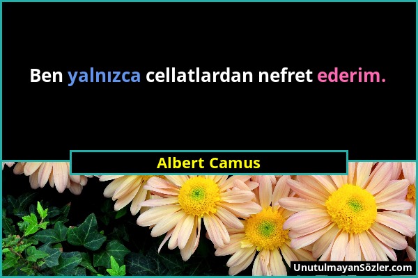 Albert Camus - Ben yalnızca cellatlardan nefret ederim....