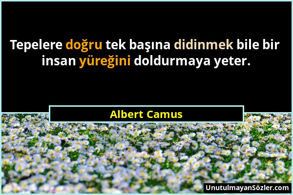 Albert Camus - Tepelere doğru tek başına didinmek bile bir insan yüreğini doldurmaya yeter....