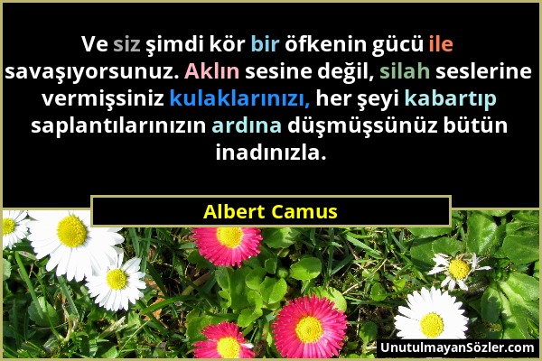 Albert Camus - Ve siz şimdi kör bir öfkenin gücü ile savaşıyorsunuz. Aklın sesine değil, silah seslerine vermişsiniz kulaklarınızı, her şeyi kabartıp...