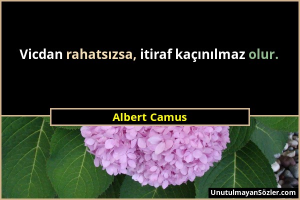 Albert Camus - Vicdan rahatsızsa, itiraf kaçınılmaz olur....
