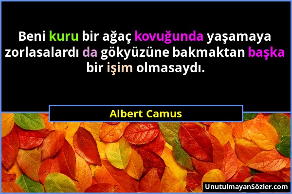 Albert Camus - Beni kuru bir ağaç kovuğunda yaşamaya zorlasalardı da gökyüzüne bakmaktan başka bir işim olmasaydı....