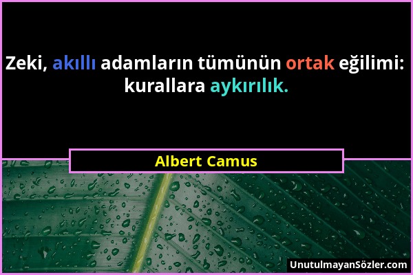 Albert Camus - Zeki, akıllı adamların tümünün ortak eğilimi: kurallara aykırılık....
