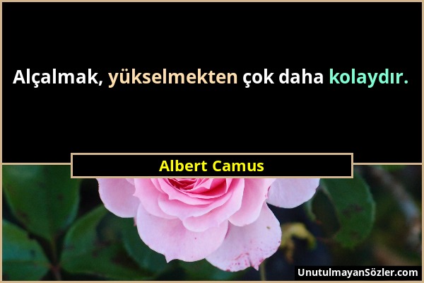 Albert Camus - Alçalmak, yükselmekten çok daha kolaydır....