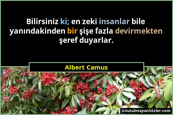 Albert Camus - Bilirsiniz ki; en zeki insanlar bile yanındakinden bir şişe fazla devirmekten şeref duyarlar....