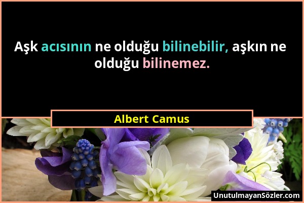 Albert Camus - Aşk acısının ne olduğu bilinebilir, aşkın ne olduğu bilinemez....