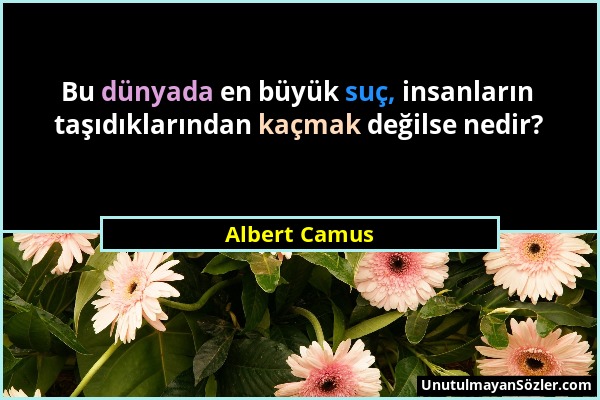 Albert Camus - Bu dünyada en büyük suç, insanların taşıdıklarından kaçmak değilse nedir?...