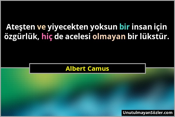 Albert Camus - Ateşten ve yiyecekten yoksun bir insan için özgürlük, hiç de acelesi olmayan bir lükstür....