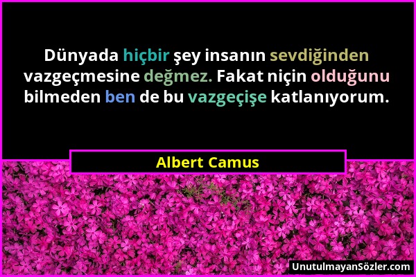 Albert Camus - Dünyada hiçbir şey insanın sevdiğinden vazgeçmesine değmez. Fakat niçin olduğunu bilmeden ben de bu vazgeçişe katlanıyorum....