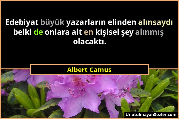Albert Camus - Edebiyat büyük yazarların elinden alınsaydı belki de onlara ait en kişisel şey alınmış olacaktı....