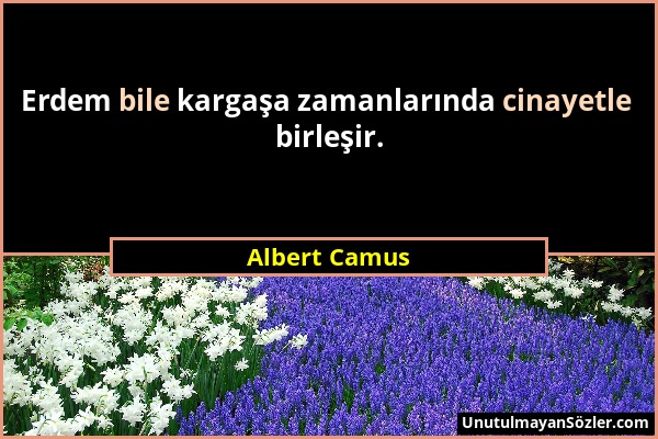 Albert Camus - Erdem bile kargaşa zamanlarında cinayetle birleşir....
