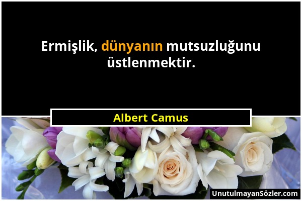 Albert Camus - Ermişlik, dünyanın mutsuzluğunu üstlenmektir....