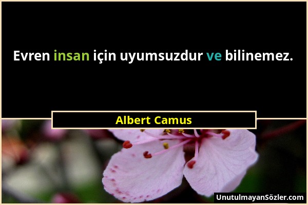 Albert Camus - Evren insan için uyumsuzdur ve bilinemez....