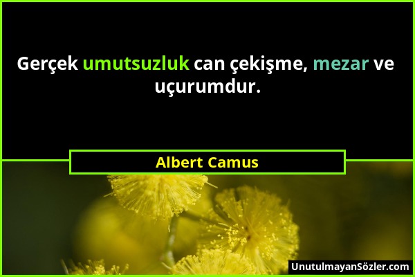 Albert Camus - Gerçek umutsuzluk can çekişme, mezar ve uçurumdur....