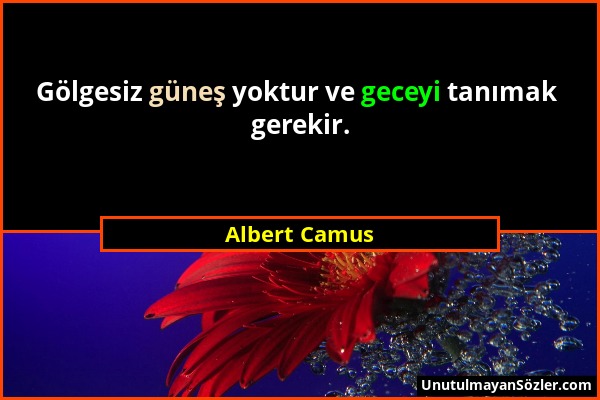 Albert Camus - Gölgesiz güneş yoktur ve geceyi tanımak gerekir....