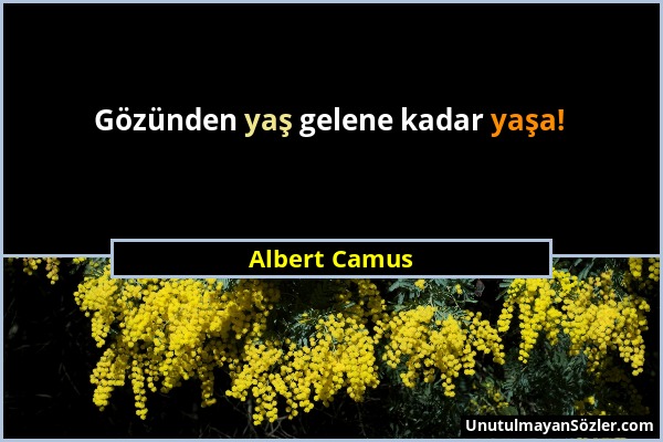 Albert Camus - Gözünden yaş gelene kadar yaşa!...