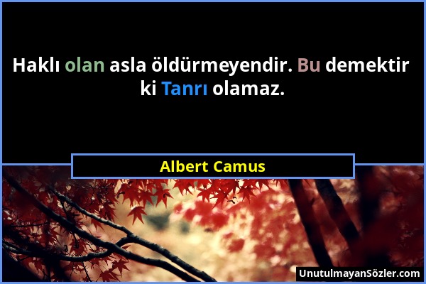 Albert Camus - Haklı olan asla öldürmeyendir. Bu demektir ki Tanrı olamaz....