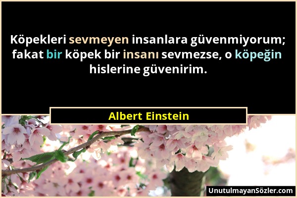 Albert Einstein - Köpekleri sevmeyen insanlara güvenmiyorum; fakat bir köpek bir insanı sevmezse, o köpeğin hislerine güvenirim....