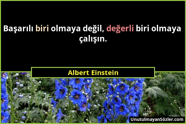 Albert Einstein - Başarılı biri olmaya değil, değerli biri olmaya çalışın....