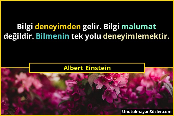 Albert Einstein - Bilgi deneyimden gelir. Bilgi malumat değildir. Bilmenin tek yolu deneyimlemektir....