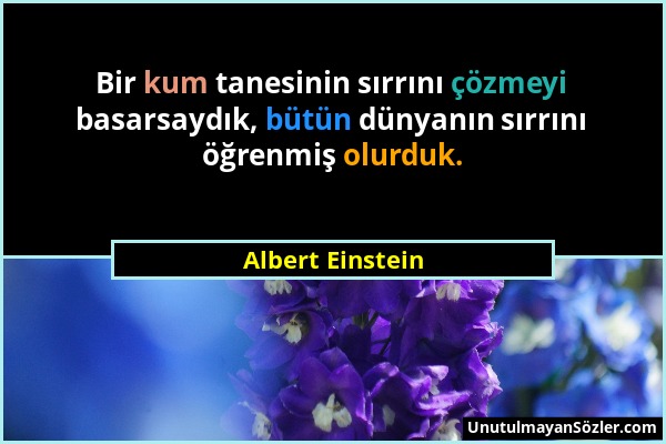 Albert Einstein - Bir kum tanesinin sırrını çözmeyi basarsaydık, bütün dünyanın sırrını öğrenmiş olurduk....