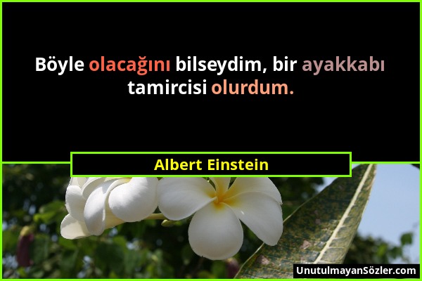 Albert Einstein - Böyle olacağını bilseydim, bir ayakkabı tamircisi olurdum....