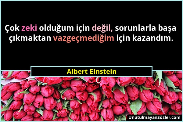 Albert Einstein - Çok zeki olduğum için değil, sorunlarla başa çıkmaktan vazgeçmediğim için kazandım....