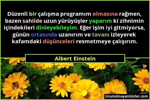 Albert Einstein - Düzenli bir çalışma programım olmasına rağmen, bazen sahilde uzun yürüyüşler yaparım ki zihnimin içindekileri dinleyebileyim. Eğer i...