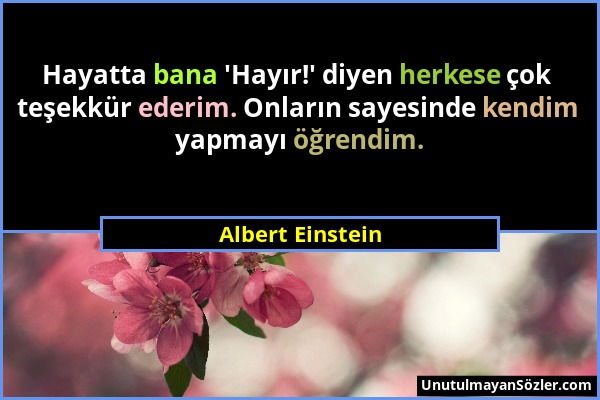 Albert Einstein - Hayatta bana 'Hayır!' diyen herkese çok teşekkür ederim. Onların sayesinde kendim yapmayı öğrendim....