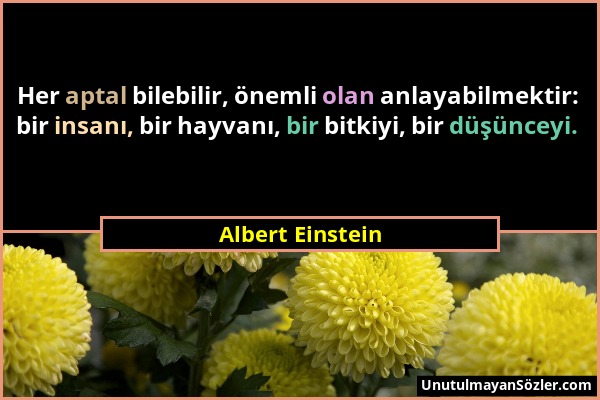 Albert Einstein - Her aptal bilebilir, önemli olan anlayabilmektir: bir insanı, bir hayvanı, bir bitkiyi, bir düşünceyi....