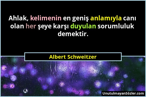 Albert Schweitzer - Ahlak, kelimenin en geniş anlamıyla canı olan her şeye karşı duyulan sorumluluk demektir....