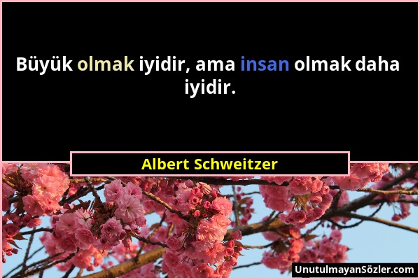 Albert Schweitzer - Büyük olmak iyidir, ama insan olmak daha iyidir....