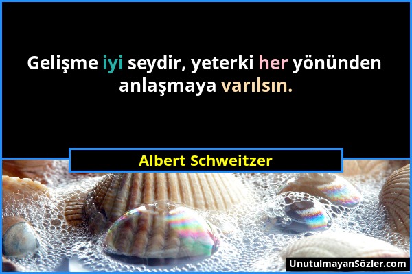 Albert Schweitzer - Gelişme iyi seydir, yeterki her yönünden anlaşmaya varılsın....