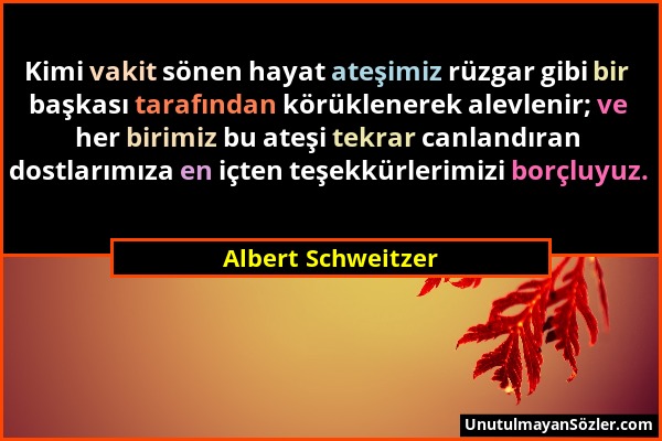 Albert Schweitzer - Kimi vakit sönen hayat ateşimiz rüzgar gibi bir başkası tarafından körüklenerek alevlenir; ve her birimiz bu ateşi tekrar canlandı...