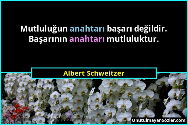 Albert Schweitzer - Mutluluğun anahtarı başarı değildir. Başarının anahtarı mutluluktur....