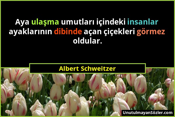 Albert Schweitzer - Aya ulaşma umutları içindeki insanlar ayaklarının dibinde açan çiçekleri görmez oldular....