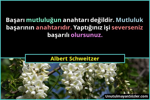 Albert Schweitzer - Başarı mutluluğun anahtarı değildir. Mutluluk başarının anahtarıdır. Yaptığınız işi severseniz başarılı olursunuz....