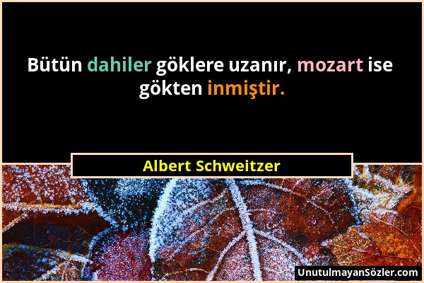 Albert Schweitzer - Bütün dahiler göklere uzanır, mozart ise gökten inmiştir....