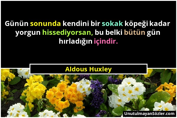 Aldous Huxley - Günün sonunda kendini bir sokak köpeği kadar yorgun hissediyorsan, bu belki bütün gün hırladığın içindir....