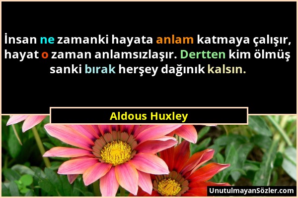 Aldous Huxley - İnsan ne zamanki hayata anlam katmaya çalışır, hayat o zaman anlamsızlaşır. Dertten kim ölmüş sanki bırak herşey dağınık kalsın....