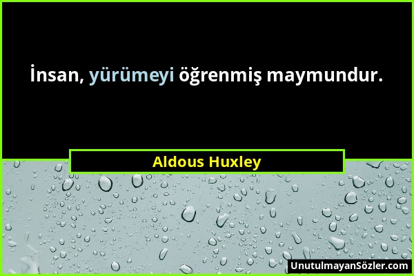 Aldous Huxley - İnsan, yürümeyi öğrenmiş maymundur....
