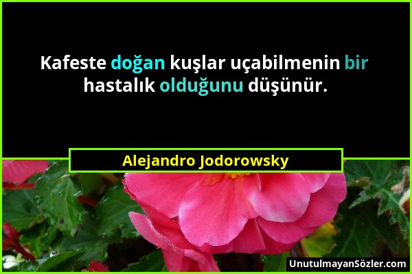 Alejandro Jodorowsky - Kafeste doğan kuşlar uçabilmenin bir hastalık olduğunu düşünür....