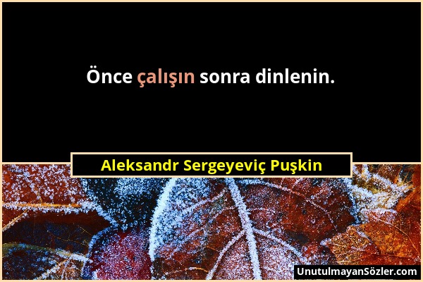 Aleksandr Sergeyeviç Puşkin - Önce çalışın sonra dinlenin....