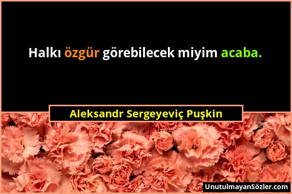 Aleksandr Sergeyeviç Puşkin - Halkı özgür görebilecek miyim acaba....