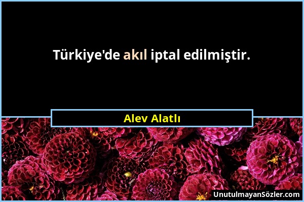 Alev Alatlı - Türkiye'de akıl iptal edilmiştir....