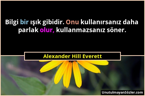 Alexander Hill Everett - Bilgi bir ışık gibidir. Onu kullanırsanız daha parlak olur, kullanmazsanız söner....